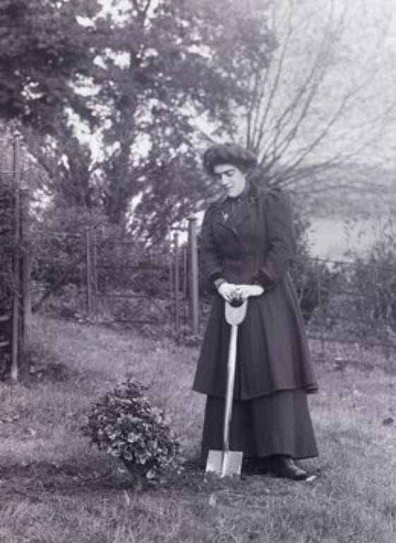Isabel Seymour suffragette